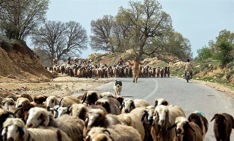 ashayerkuch