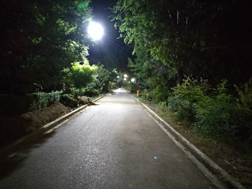 paroskal1