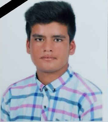 dansh1