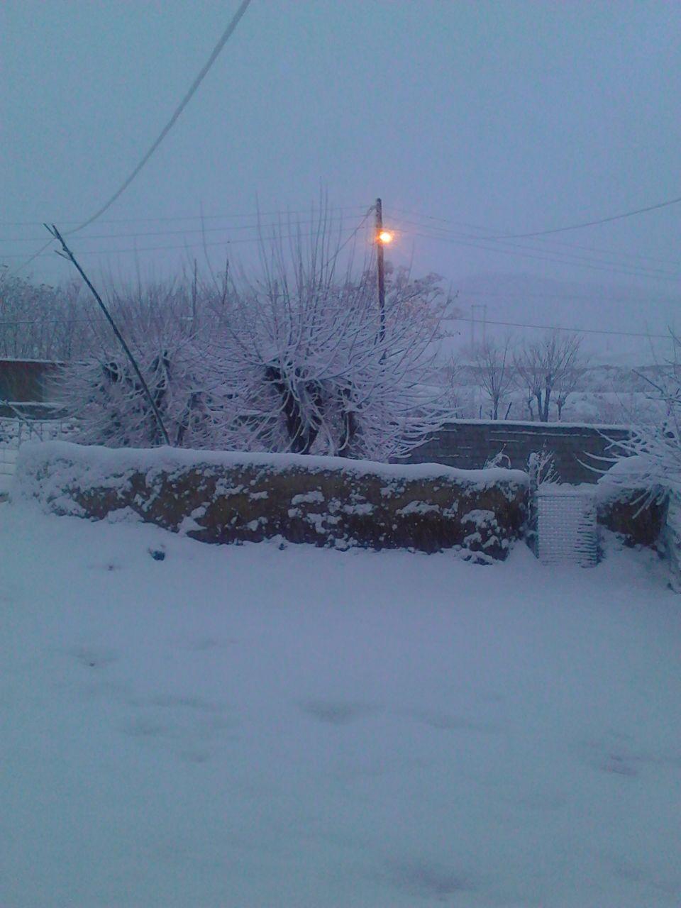 photo 2020 01 24 20 22 01