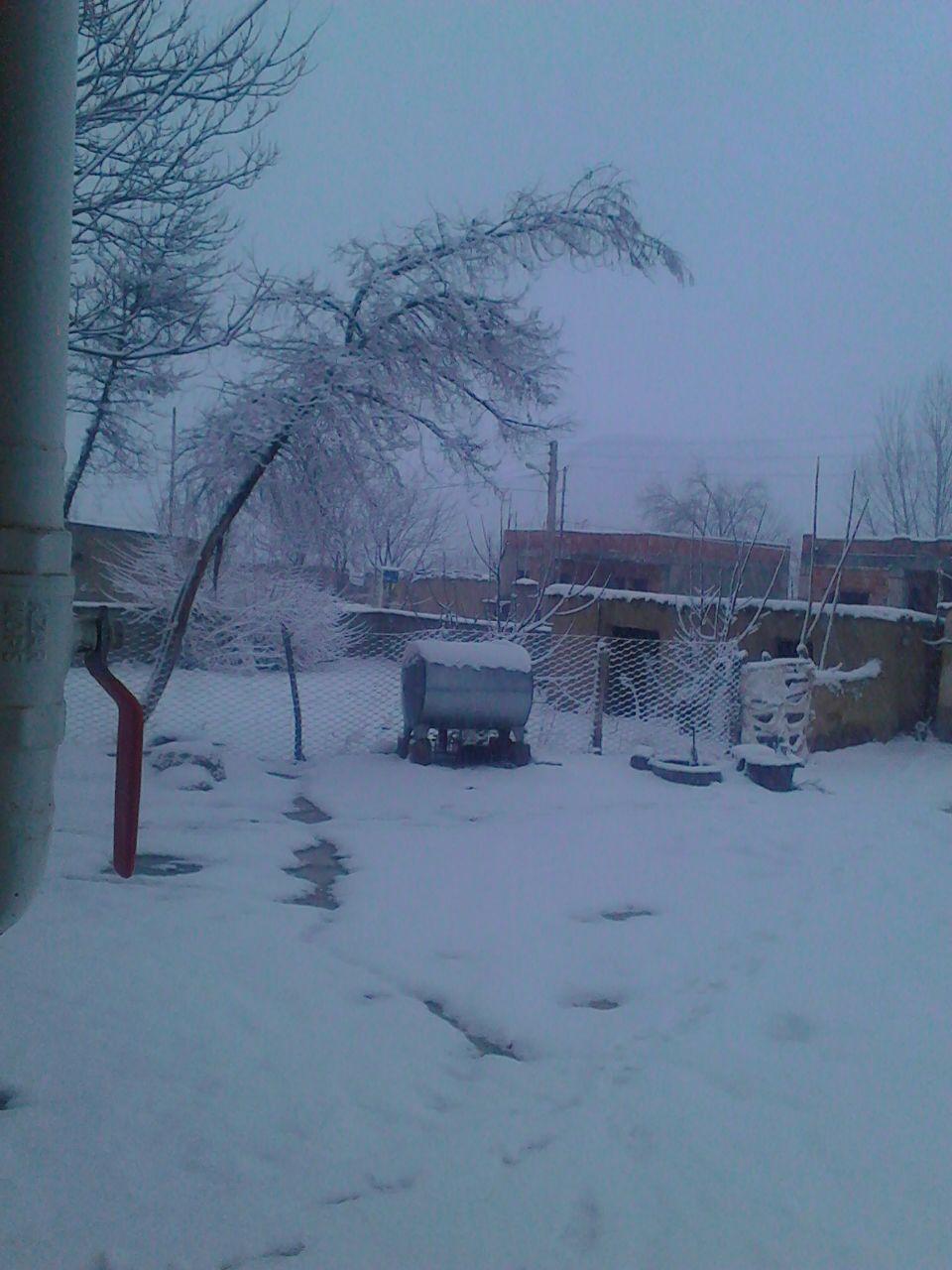 photo 2020 01 24 20 22 31