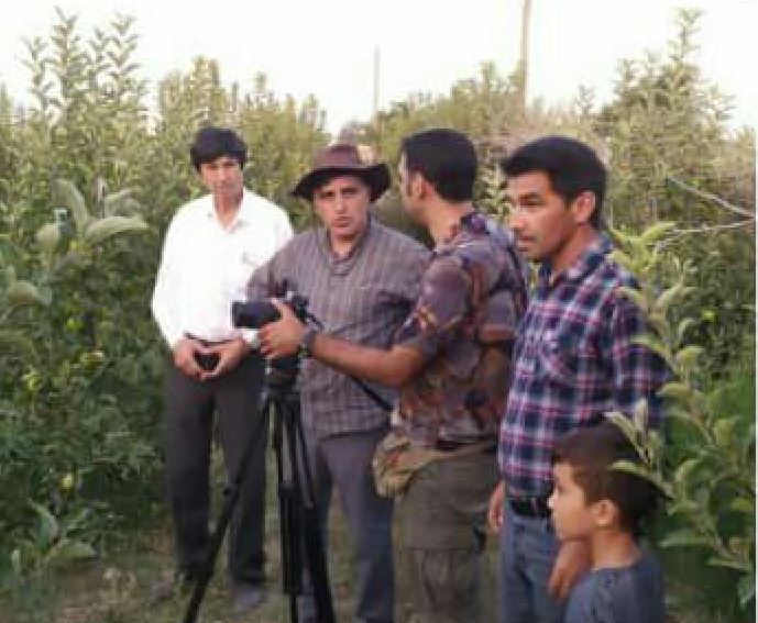 mostanad0