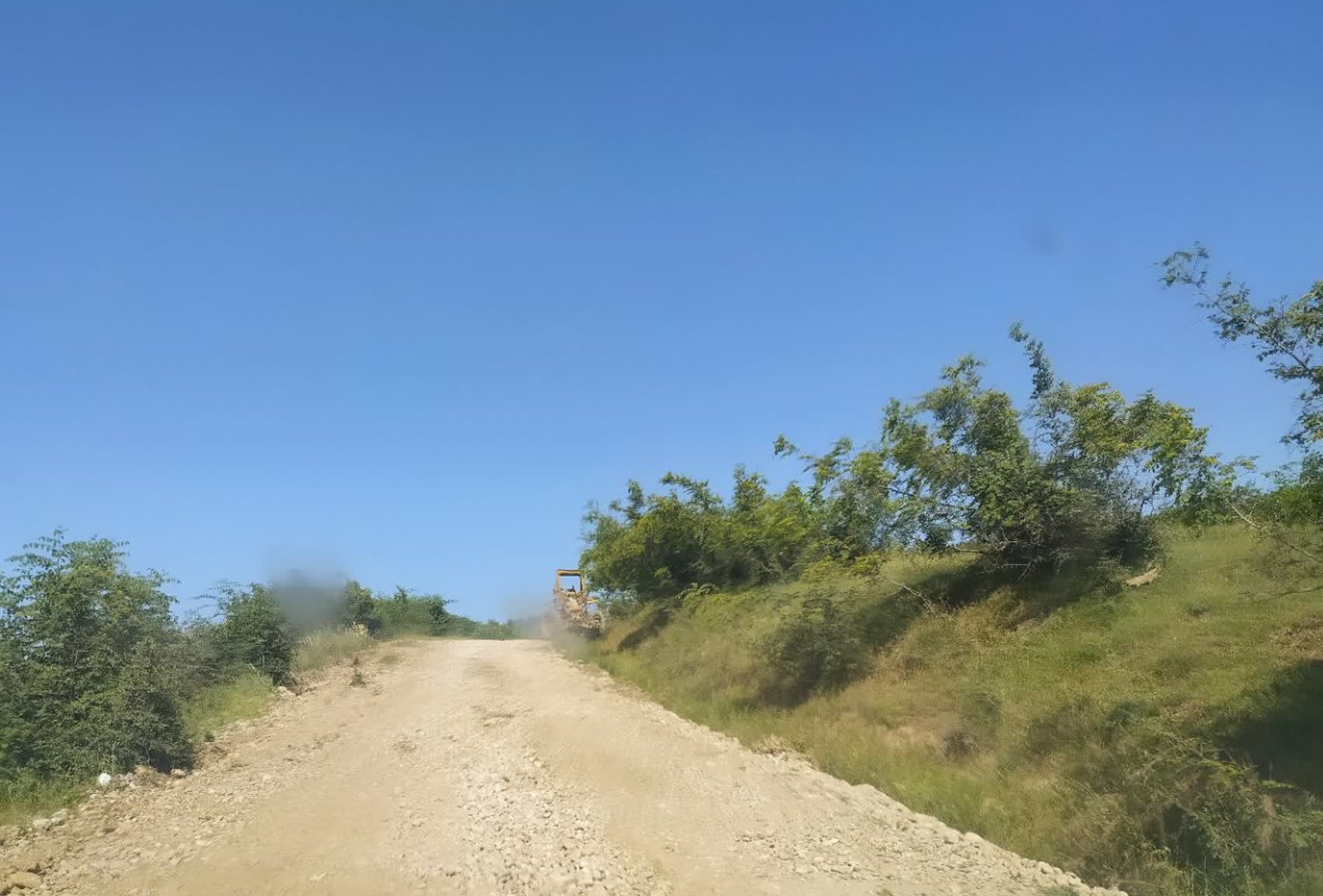 jangal