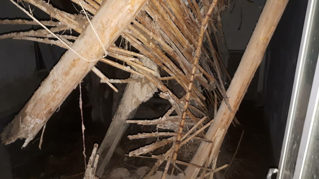 SAVE ۲۰۲۱۰۷۰۱ ۰۸۱۷۳۰