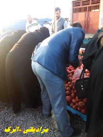anar1