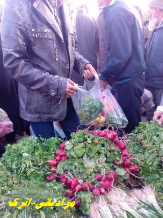 anar3