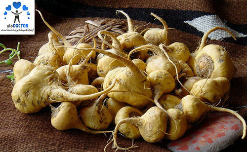 Maca