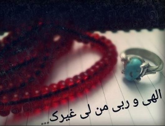 elahi12