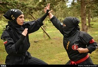 ninja2