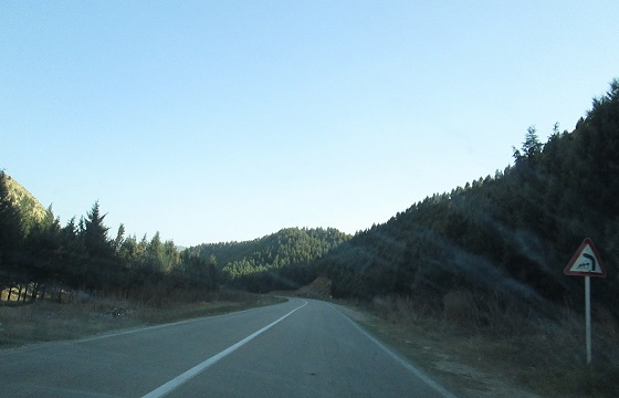 derakhat