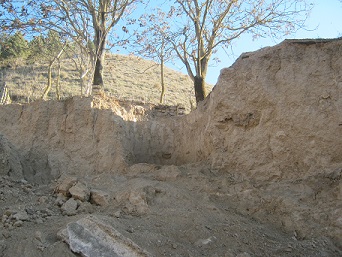 mazararab