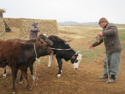 seghol3