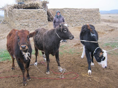 segolu1