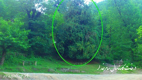 sorkhdar