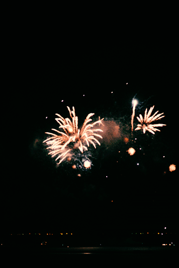 animation