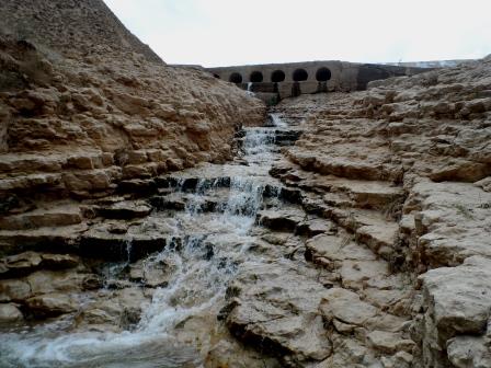 abshar1