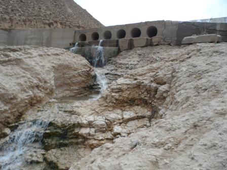 abshar2