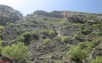 romeshghan4
