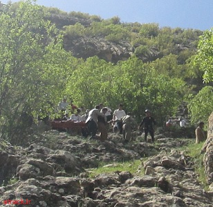 romeshghan6