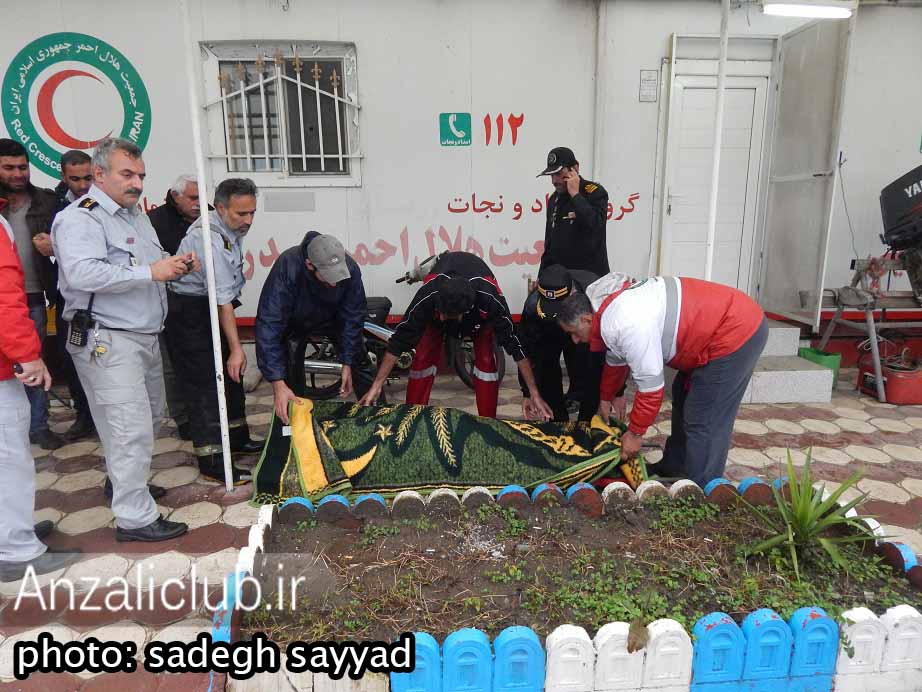 شادی