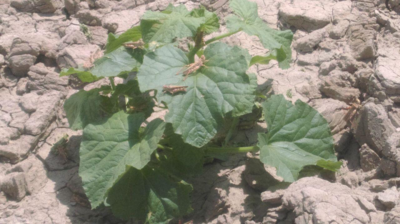 photo 2019-06-11 20-20-25