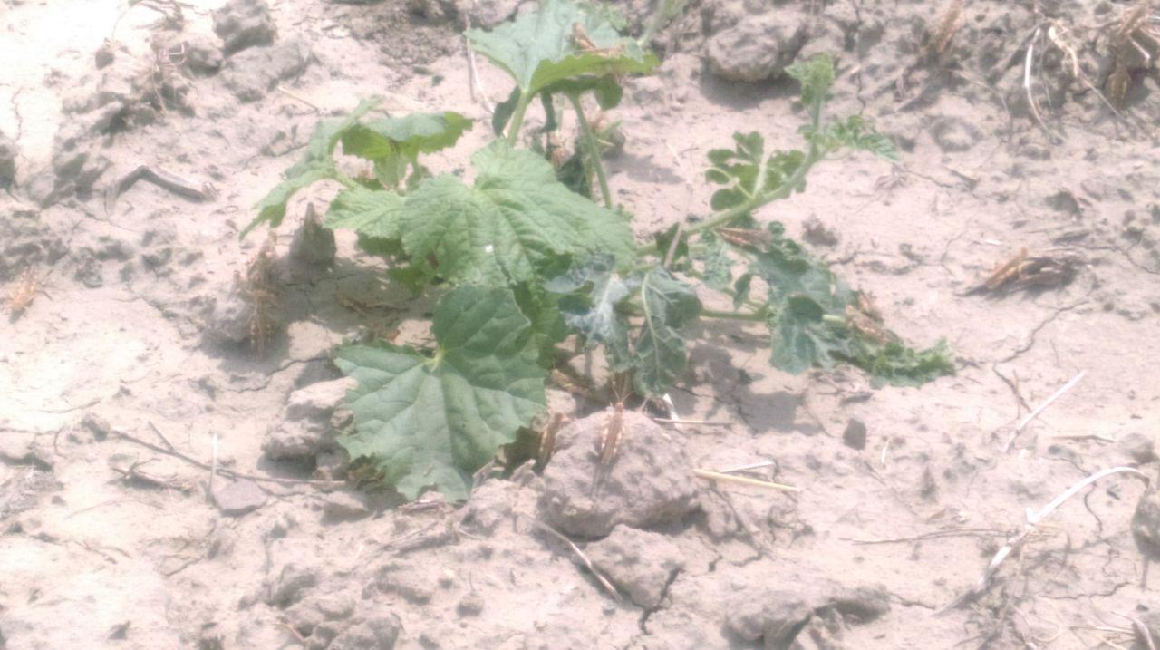 photo 2019-06-11 20-20-42