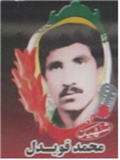 شهید محمد قویدل