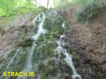abshar1
