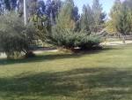 parkmar