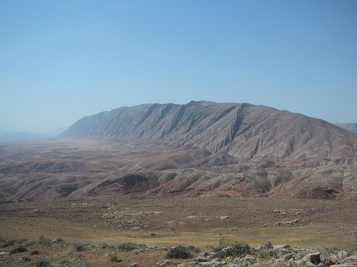 vizenhar