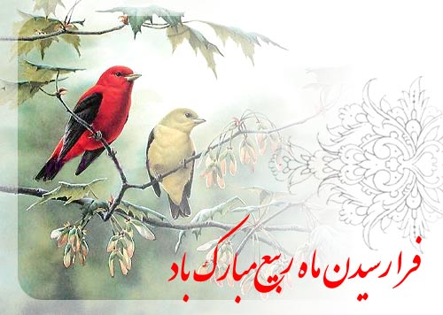 mahe-rabiee-1