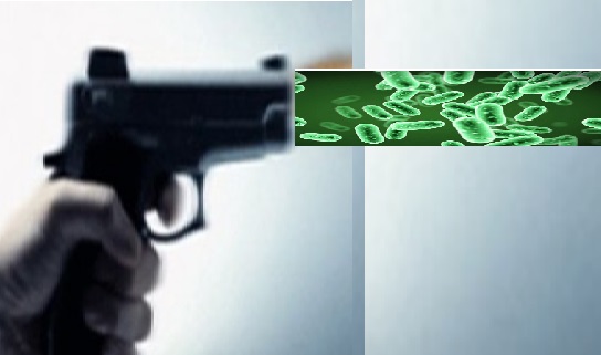 trorbiolo1