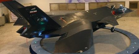 F313